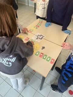 Stem_coding