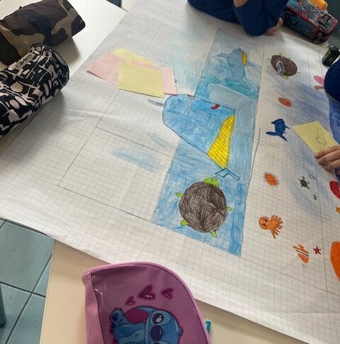 Stem_coding