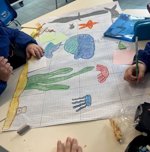 Stem_coding