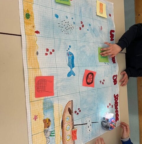 Stem_coding