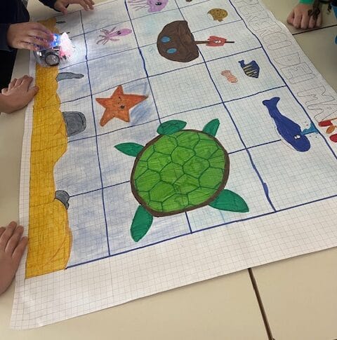 Stem_coding