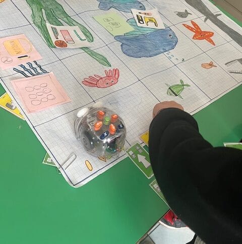 Stem_coding
